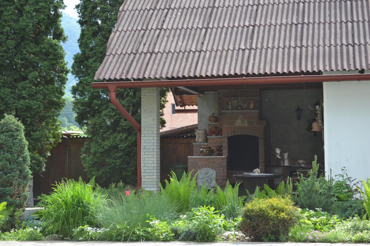 Casa Bota Otel Vişeu de Sus Dış mekan fotoğraf