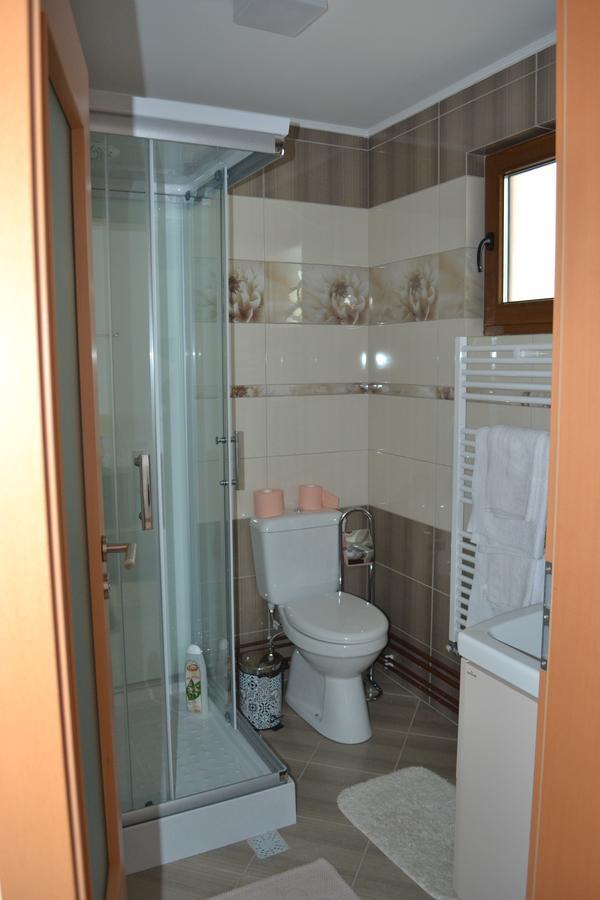 Casa Bota Otel Vişeu de Sus Dış mekan fotoğraf