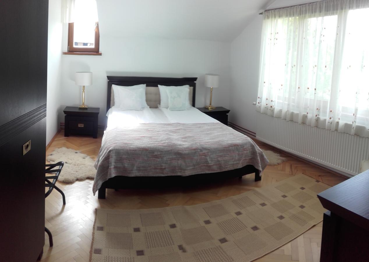 Casa Bota Otel Vişeu de Sus Dış mekan fotoğraf