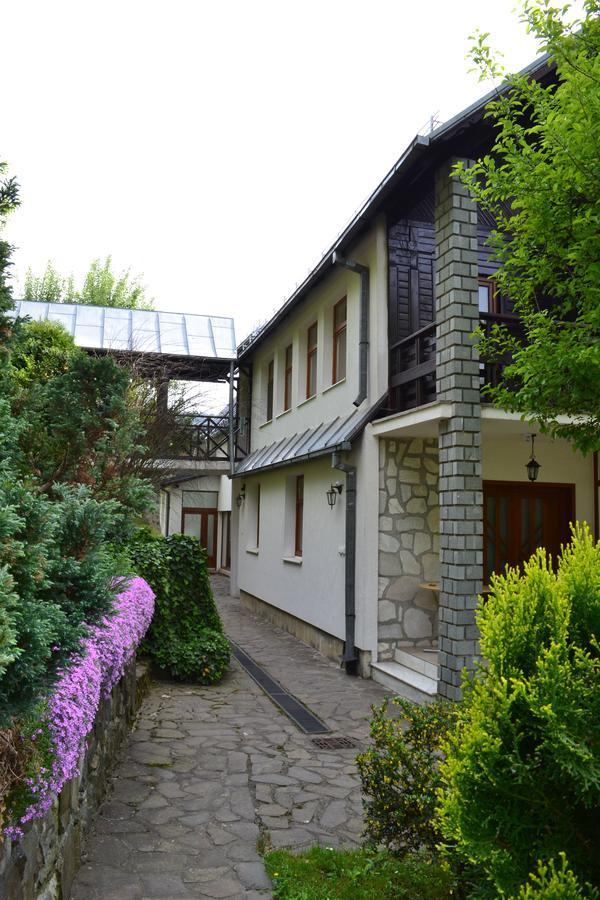 Casa Bota Otel Vişeu de Sus Dış mekan fotoğraf